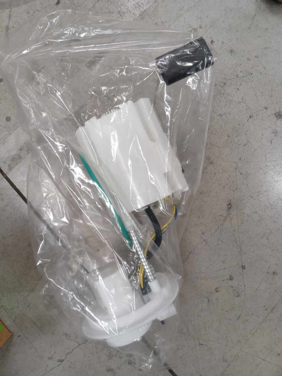 IMG_20240826_122850.jpg Lote