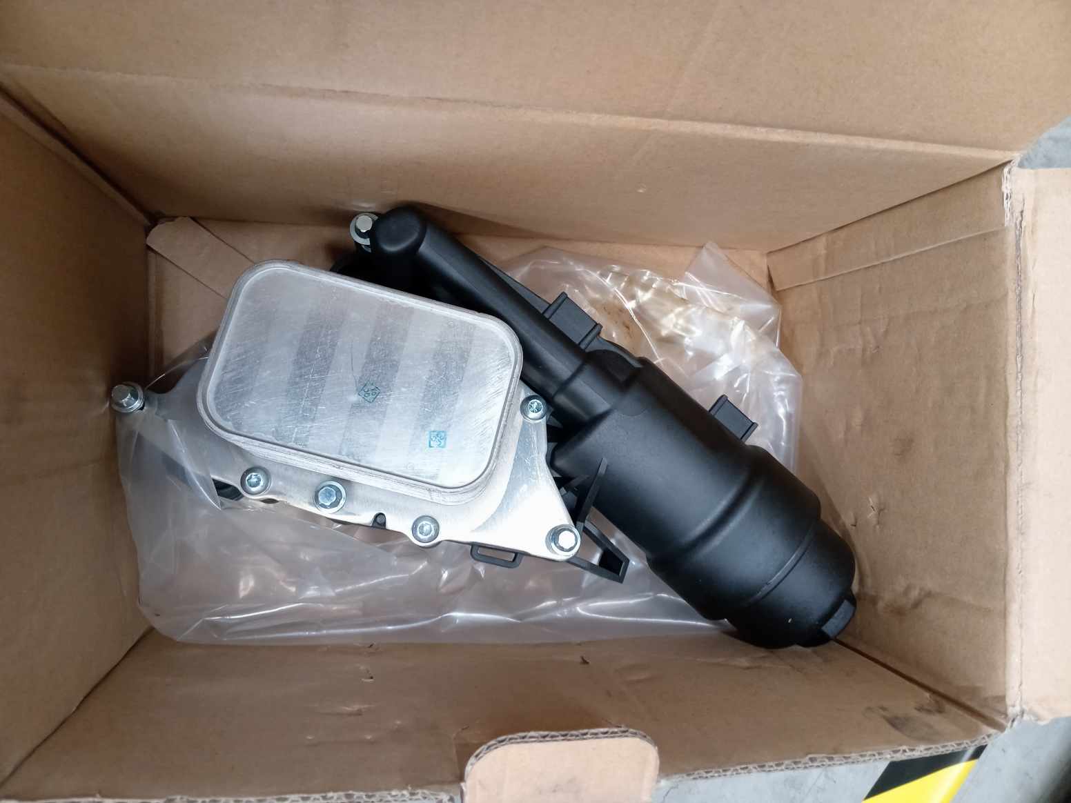 IMG_20240826_123127.jpg Lote