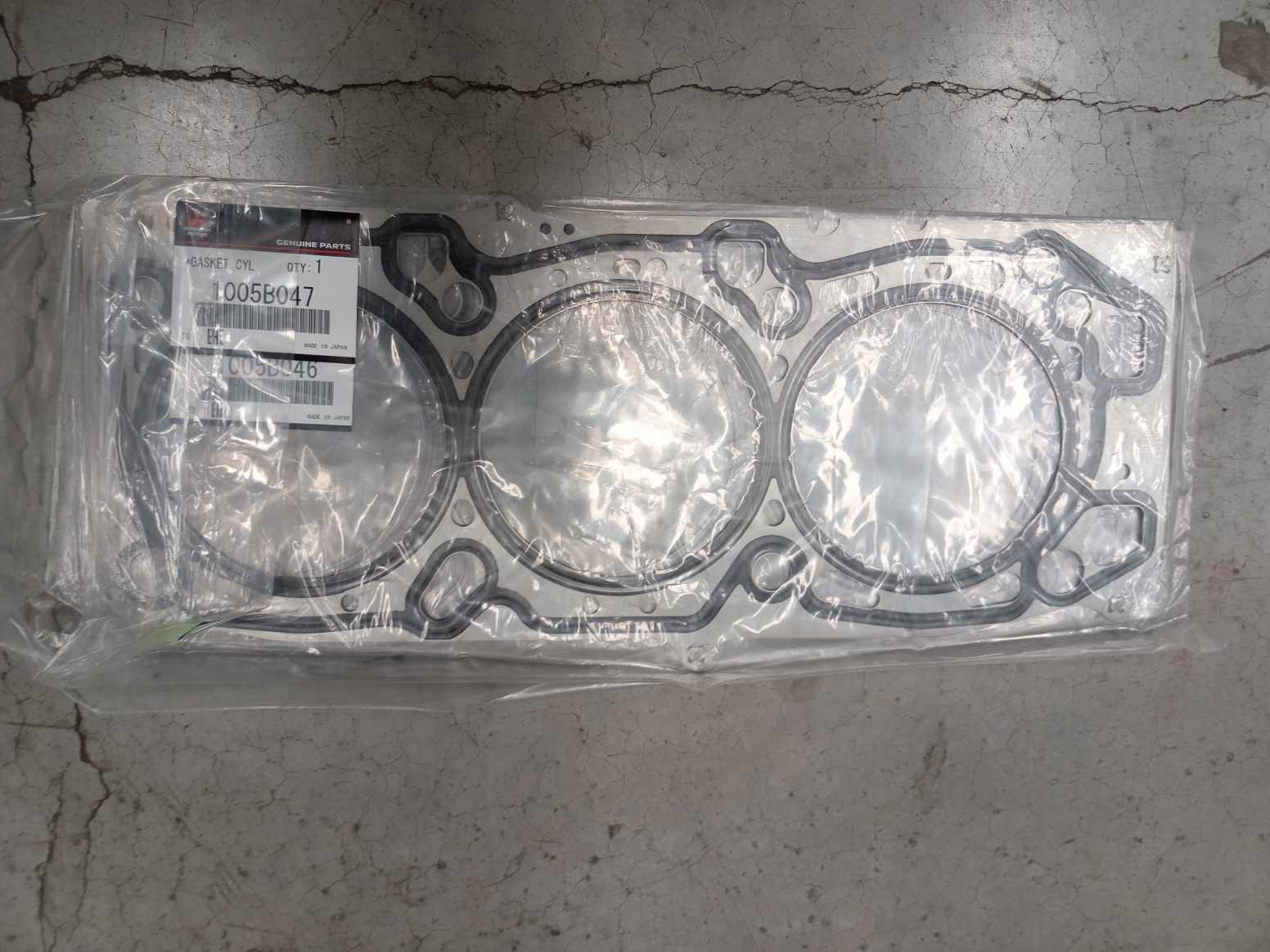 IMG_20240826_123645.jpg Lote