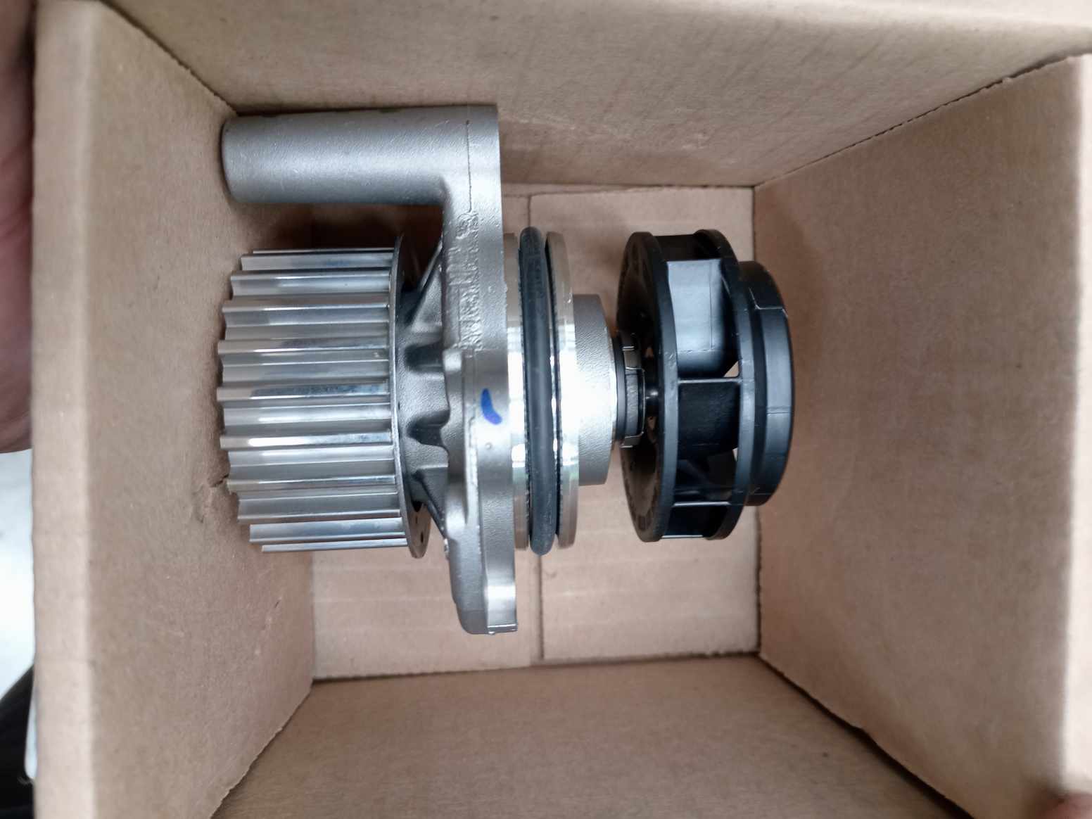 IMG_20240826_124034.jpg Lote