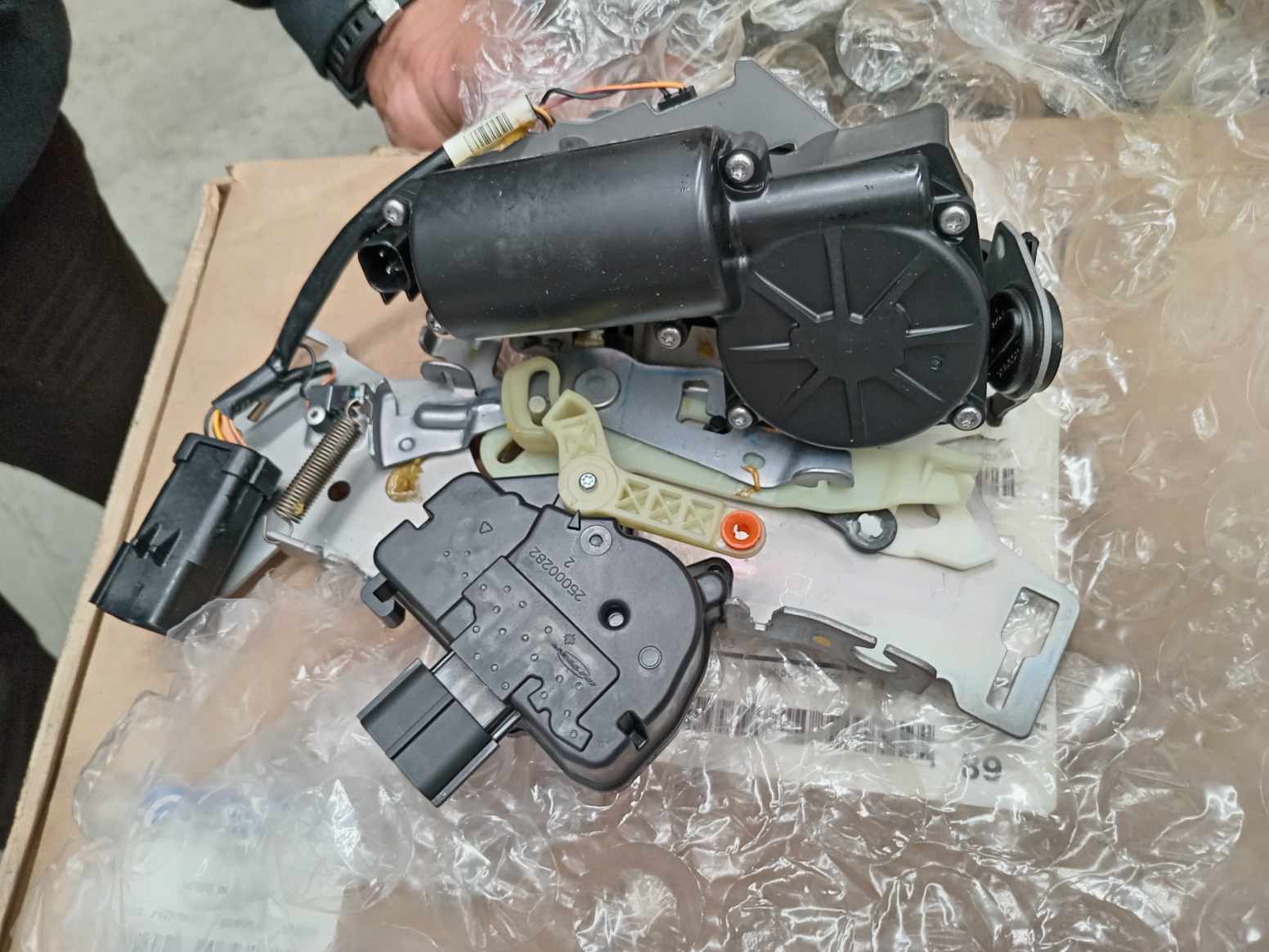 IMG_20240826_125242.jpg Lote