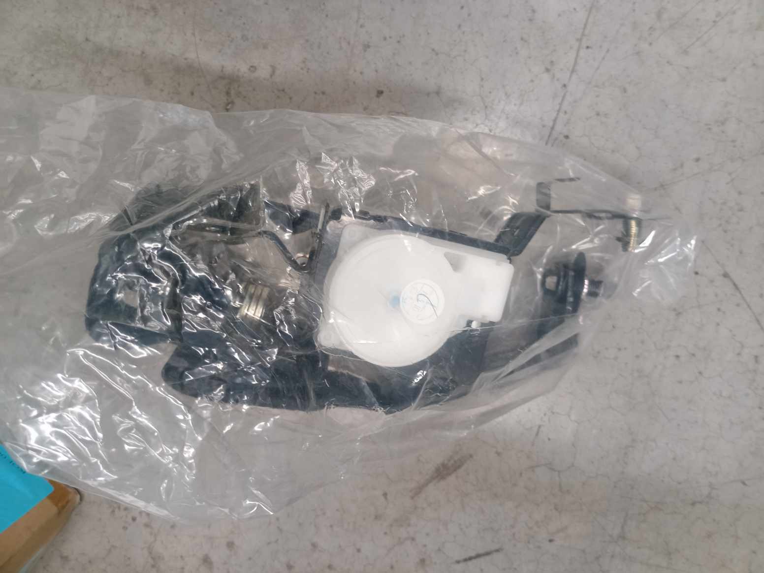 IMG_20240826_125803.jpg Lote