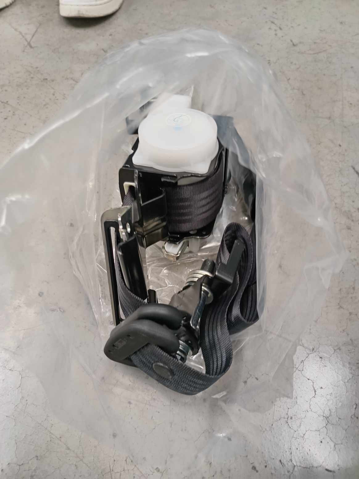 IMG_20240826_125811.jpg Lote