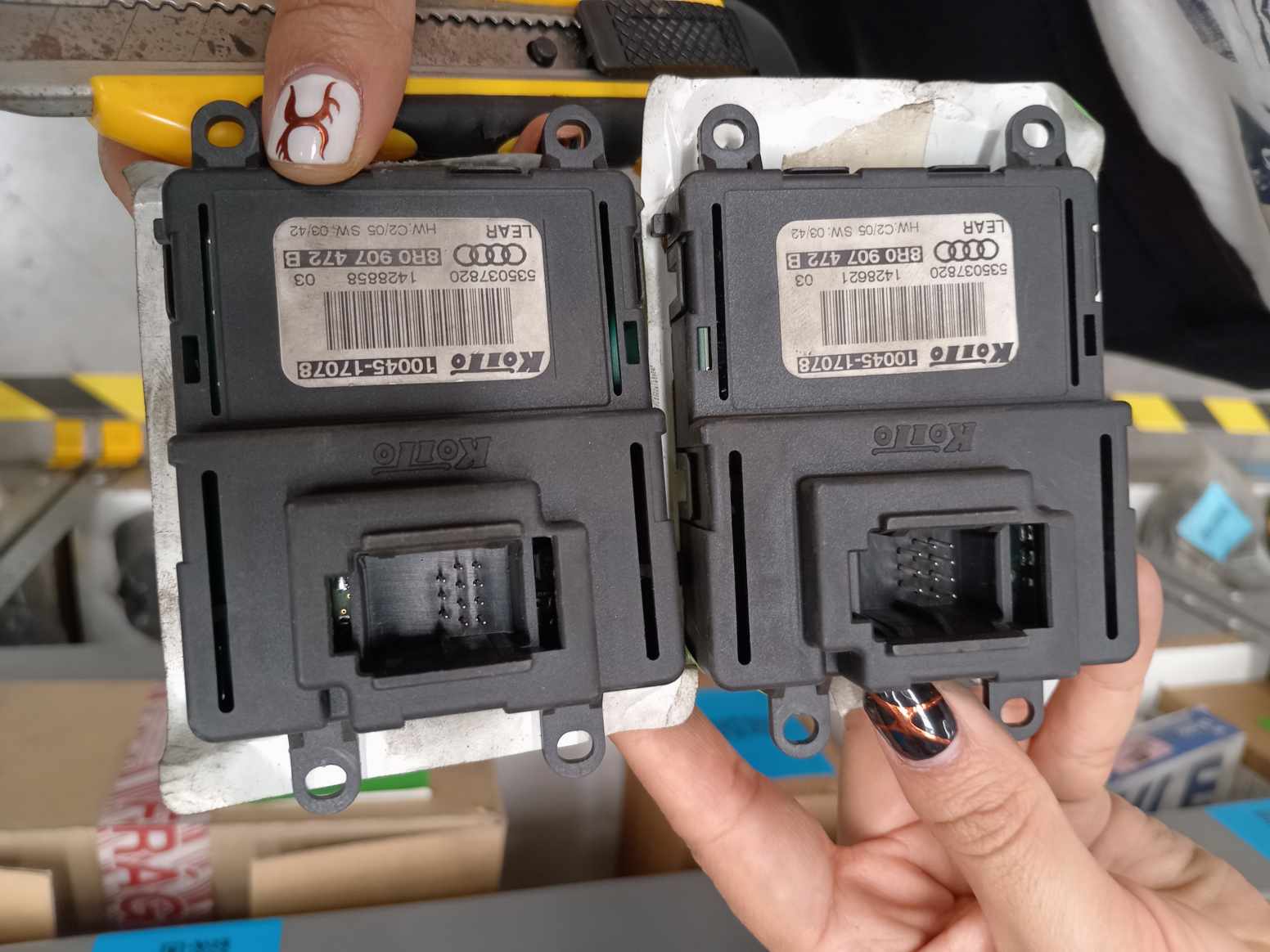 IMG_20240826_134600.jpg Lote