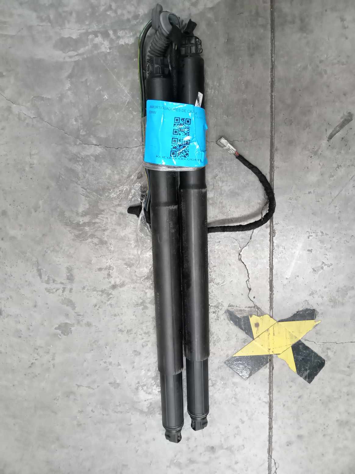 IMG_20240826_135624.jpg Lote