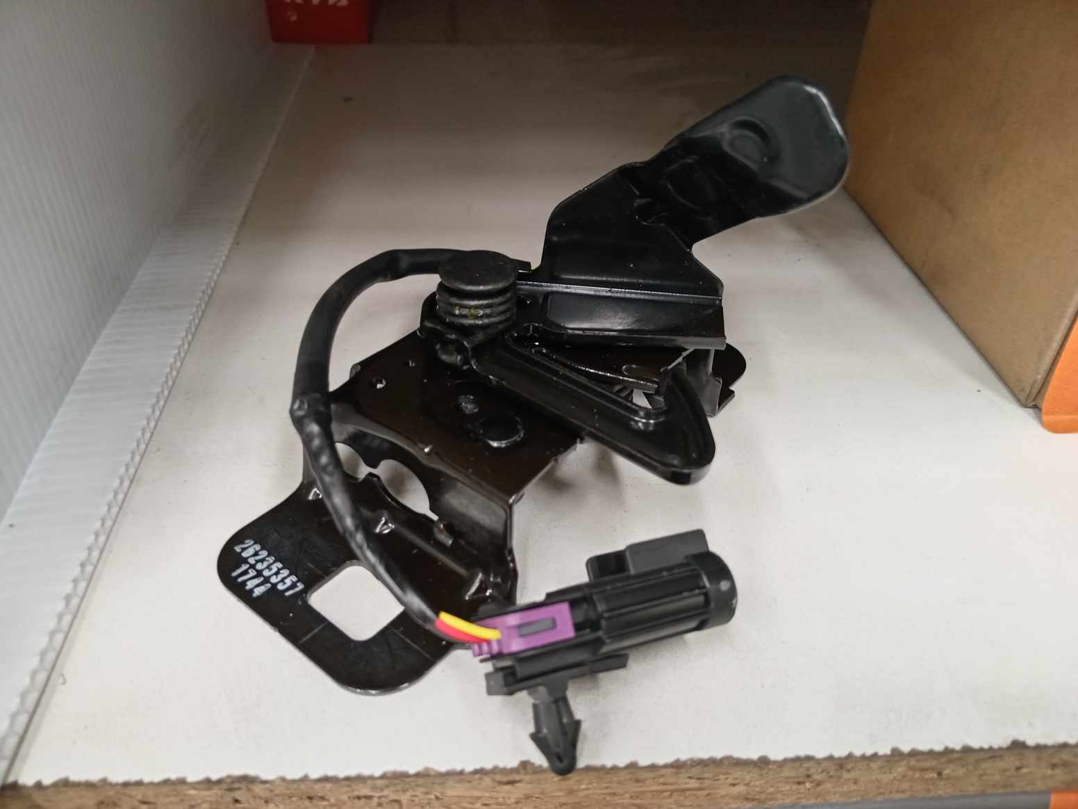 IMG_20240826_142828.jpg Lote