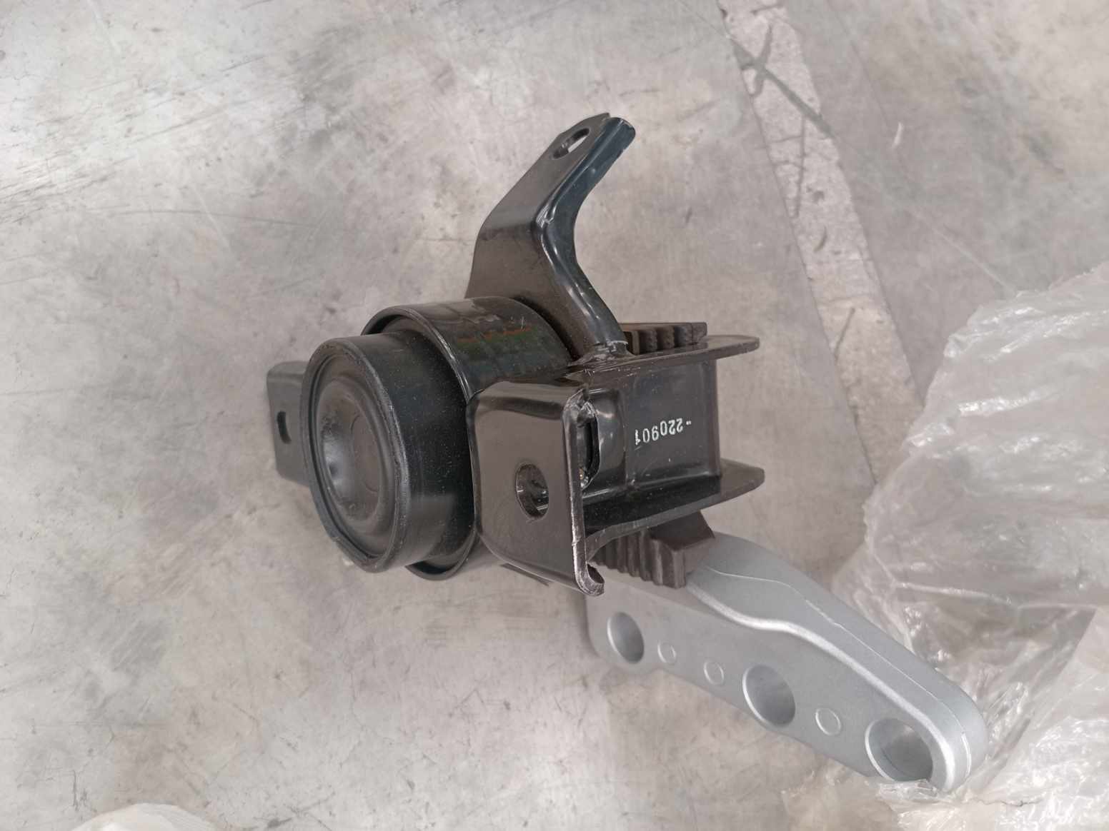 IMG_20240826_144732.jpg Lote