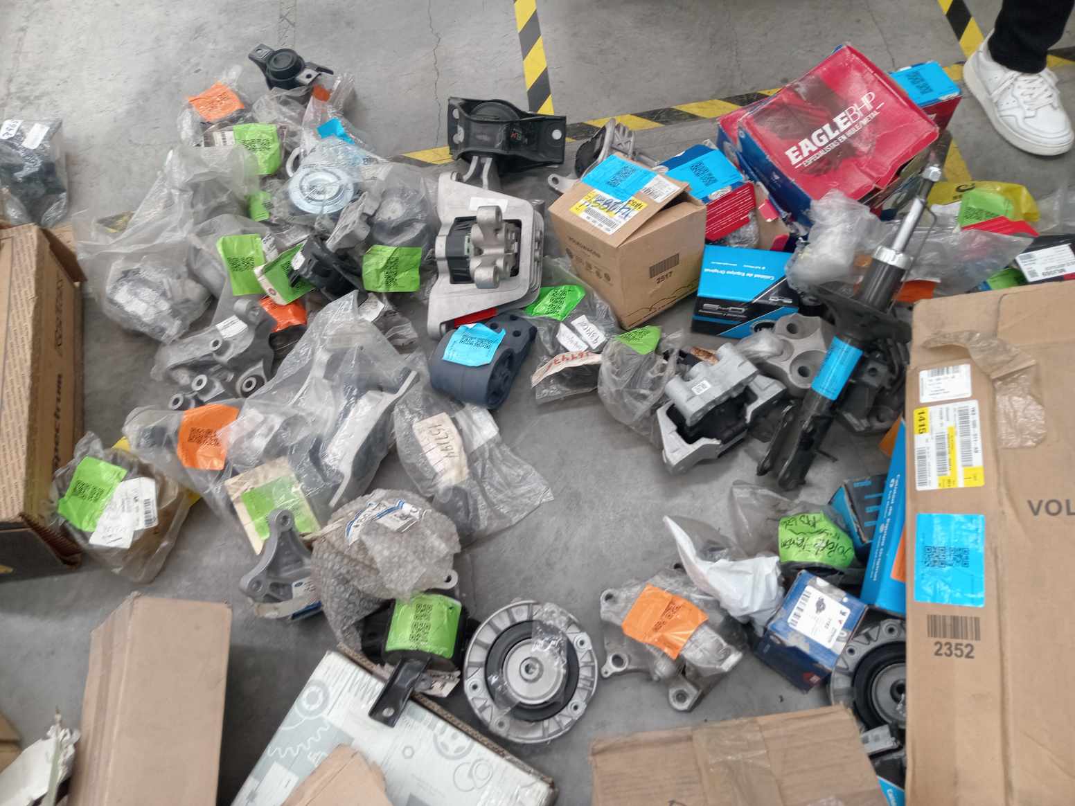 IMG_20240826_144906.jpg Lote